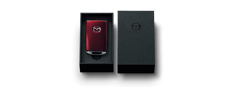 אולמות תצוגה